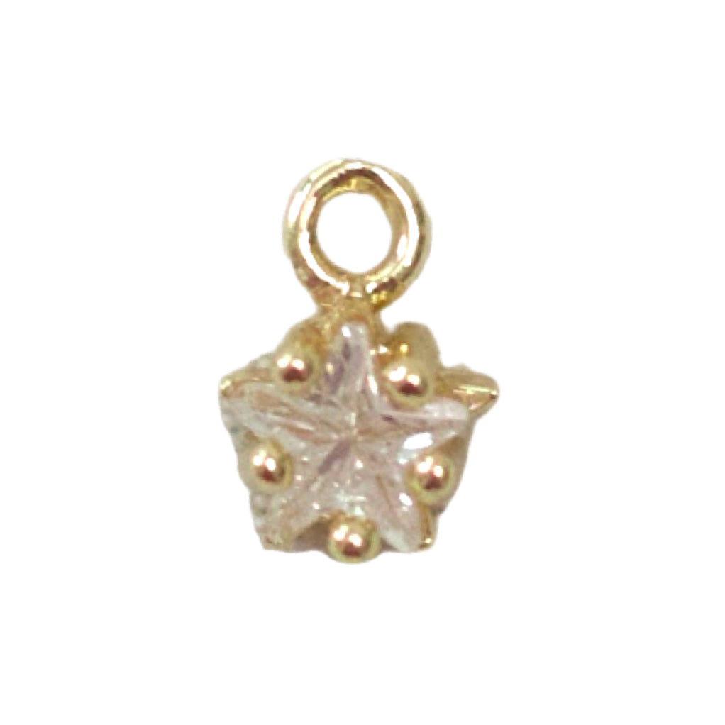 Jewel Charms
